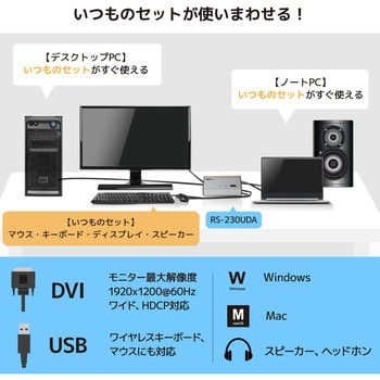 RS-230UDA DVIパソコン切替器(2台用) 1個 ラトックシステム 【通販