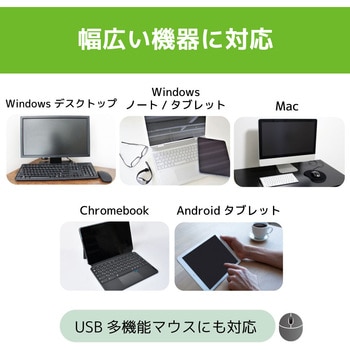 RS-230UH HDMIパソコン切替器(2台用) 1個 ラトックシステム 【通販