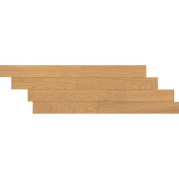 DYSA-LN �_�C���N�g�G�N�Z��40S(�c�L�^�C�v) �i��Y�� 76668595