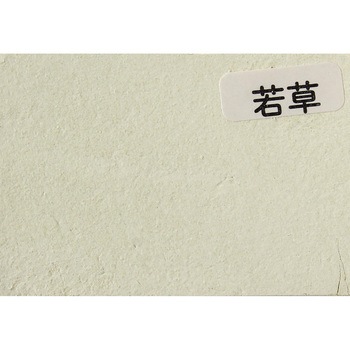簡単しっくい 家庭化学