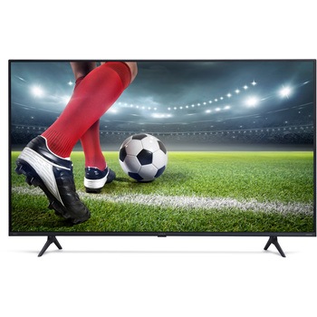 アイリスオオヤマ! 2020年製 55インチ