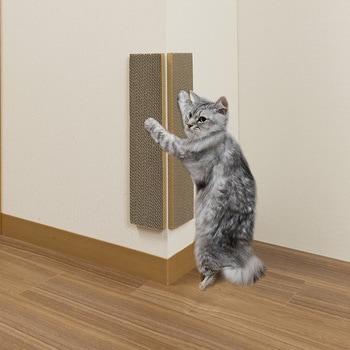コーナーにも貼れる猫のつめとぎ 段ボール サンコー
