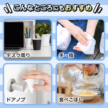 サンリオミックス除菌ウェットティシュ レック(LEC)