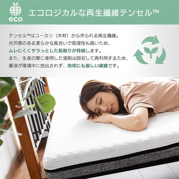 エコラテ エリート三つ折りマットレス 篠原化学