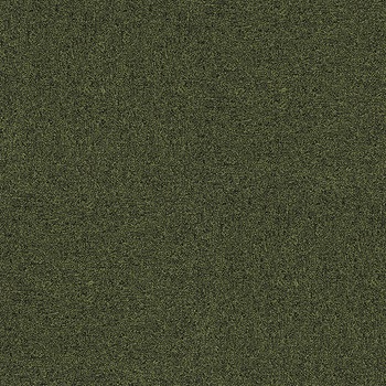 タイルカーペット ECOS LP3100 スミノエ