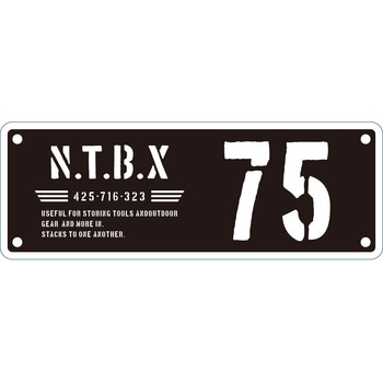 NTボックス ブラックグリーン JEJアステージ