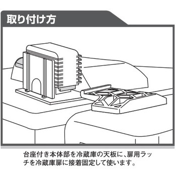ロックヤモリ リンテック21