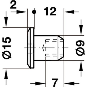 スリーブナット SW4 六角レンチ穴 平頭付 ハーフェレ