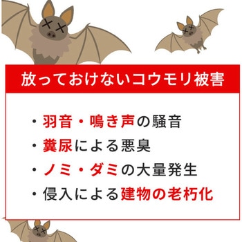コウモリ、バイバイ! メイダイ