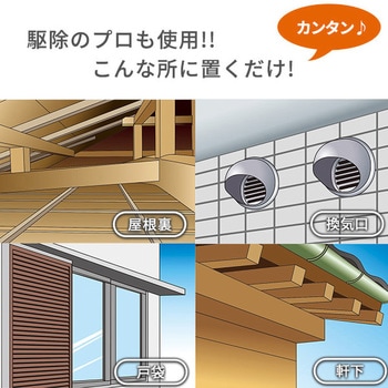 コウモリ、バイバイ! メイダイ
