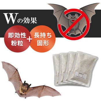 コウモリ、バイバイ! メイダイ