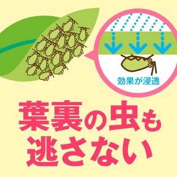 アースガーデン 花いとし アース製薬
