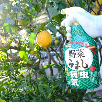 アースガーデン 野菜うまし 1000ml 1本(1000mL) アース製薬 【通販