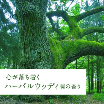 Sukki-ri! CORK+STICK -Puriture- アース製薬