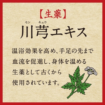 薬泉バスロマン あたため浴 アース製薬