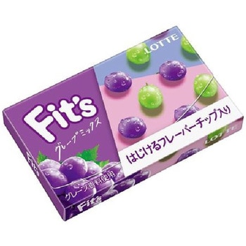 ロッテ Fit’s グレープミックス 12枚 x10 ロッテ