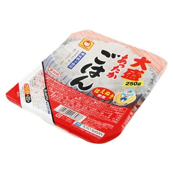 4901990166966 マルちゃん あったかごはん 大盛 250g x10 1箱(250g×10個) 東洋水産(マルちゃん) 【通販モノタロウ】