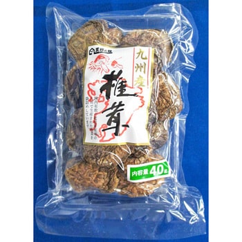 4902028111118 王将椎茸 九州産 椎茸 40g x10 1箱(40g×10個) 王将椎茸