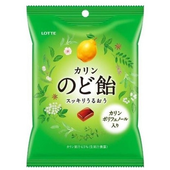 4903333024865 ロッテ のど飴 袋 110g x10 1箱(110g×10個