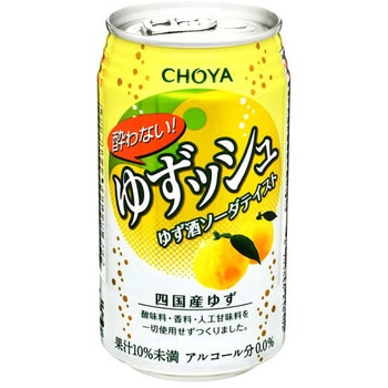 合同酒精 送料無料 NIPPON PREMIUM 宮崎県産 日向夏 チューハイ