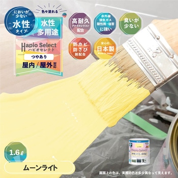ハピオセレクト 水性シリコン多用途(つやあり) カンペハピオ