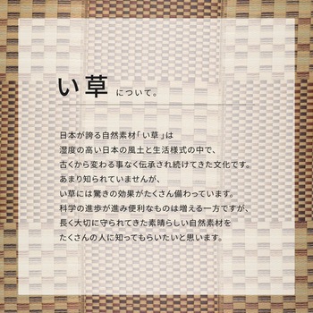 はっ水の市松柄い草ラグ キハチ 萩原