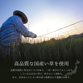 国産い草ラグ(裏貼り) エンペラー 萩原