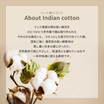 インド綿ラグ テラ(滑り止め付き) 萩原