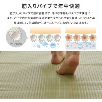 洗えるい草風カーペット 四条 萩原