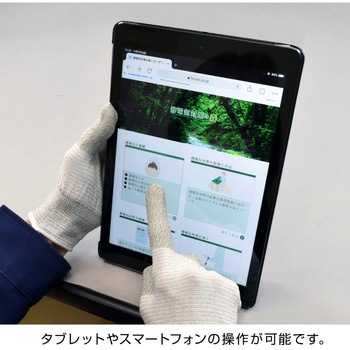 ESDグローブ ホーザン