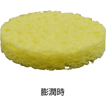 スポンジ ホーザン