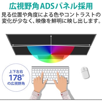 NB-N241B-E モニター 液晶ディスプレイ 5年保証 フルHD ADSパネル