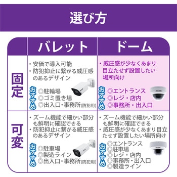 ネットワークカメラ 固定焦点ドーム型 200万画素 WDR対応 赤外線照射距離最大30m DXアンテナ