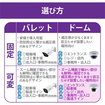 ネットワークカメラ 電動可変焦点ドーム型 200万画素 WDR対応 赤外線照射距離最大40m DXアンテナ