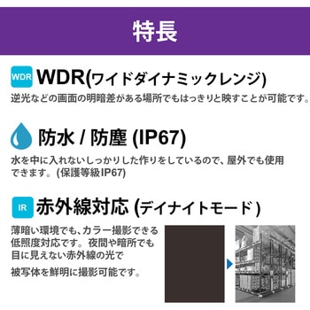 ネットワークカメラ 電動可変焦点ドーム型 200万画素 WDR対応 赤外線照射距離最大40m DXアンテナ
