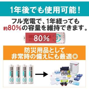 ビックキャパ リチャージ 充電器セット 単3形4個付 アイリスオーヤマ