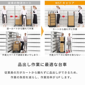 WSTキャリア 河淳
