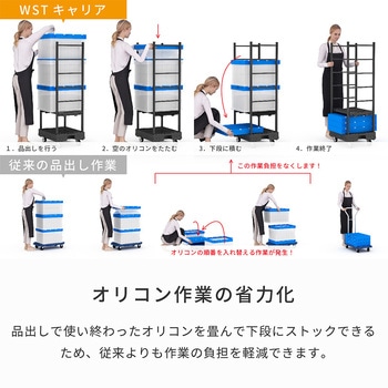 WSTキャリア 河淳