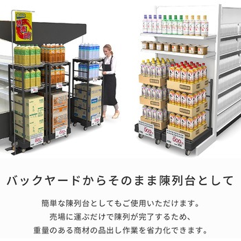 WSTキャリア 河淳