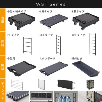 WSTキャリア 河淳