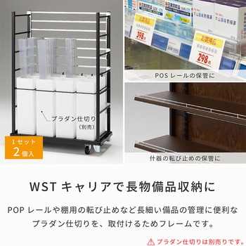 バーストックフレーム 河淳