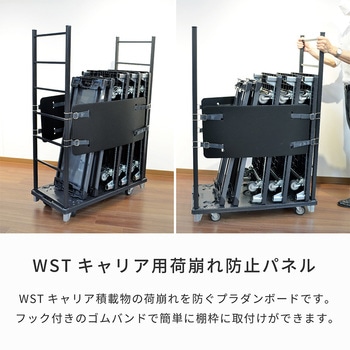 WSTキャリアパネル 河淳