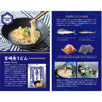 宮崎魚うどん 器(ウツワ)