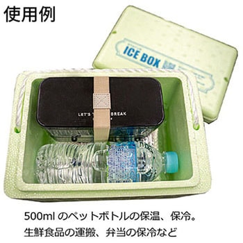 アイスボックス (日本製) STATUSUNI(ステータスユニ)