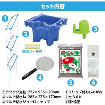 アーテック マルチラクラクあさがお虫めがね付Bセット 3571 2個