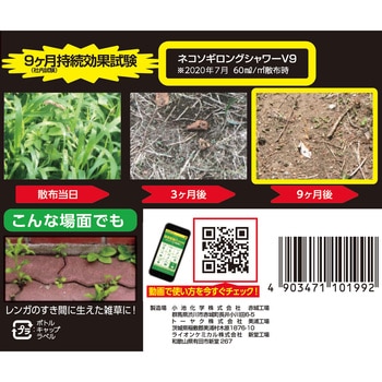 ネコソギロングシャワーV9 レインボー薬品