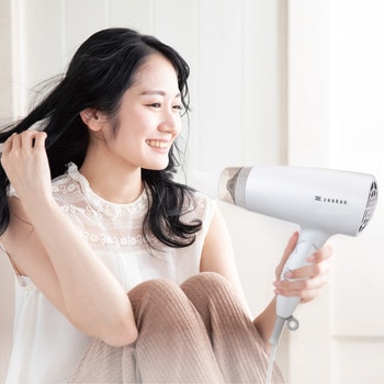 電磁波低減ヘアケアドライヤー ZD-750P シリーズ ゼンケン