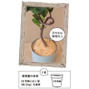 ひのき木綿 100g アップルウェアー