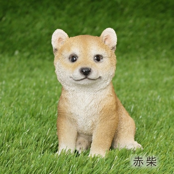 シバ(子犬)QY-039 - 紅石