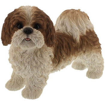 シーズー(大)QY-182 紅石